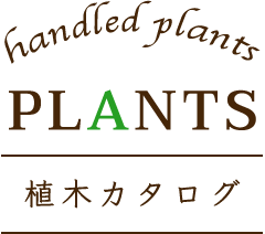 PLANTS 植木カタログ