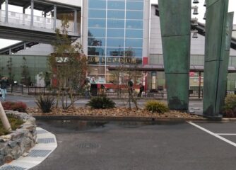 熊取町駅前広場の植栽