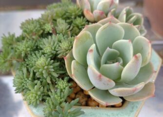 年末年始休業のお知らせ