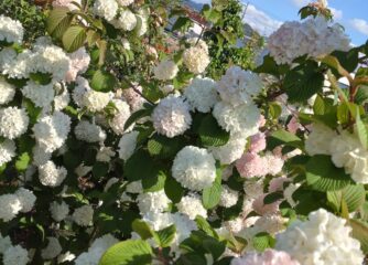 ゴールデンウィーク休業のお知らせ